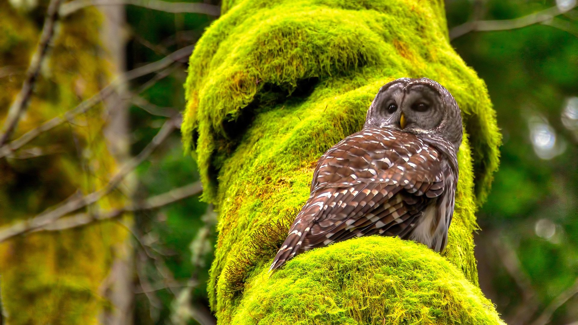 乐鱼体育官网下载-曼城终场绝杀切尔西完成复仇，曼城击败切尔西